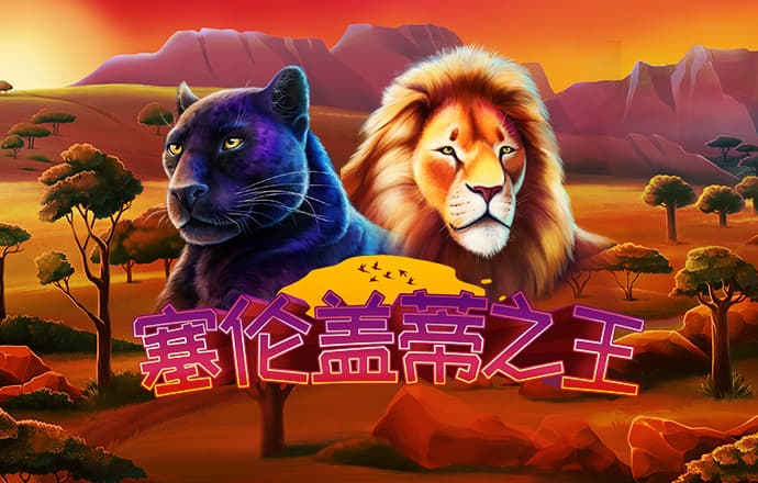 什么软件可以买足球相关图片
